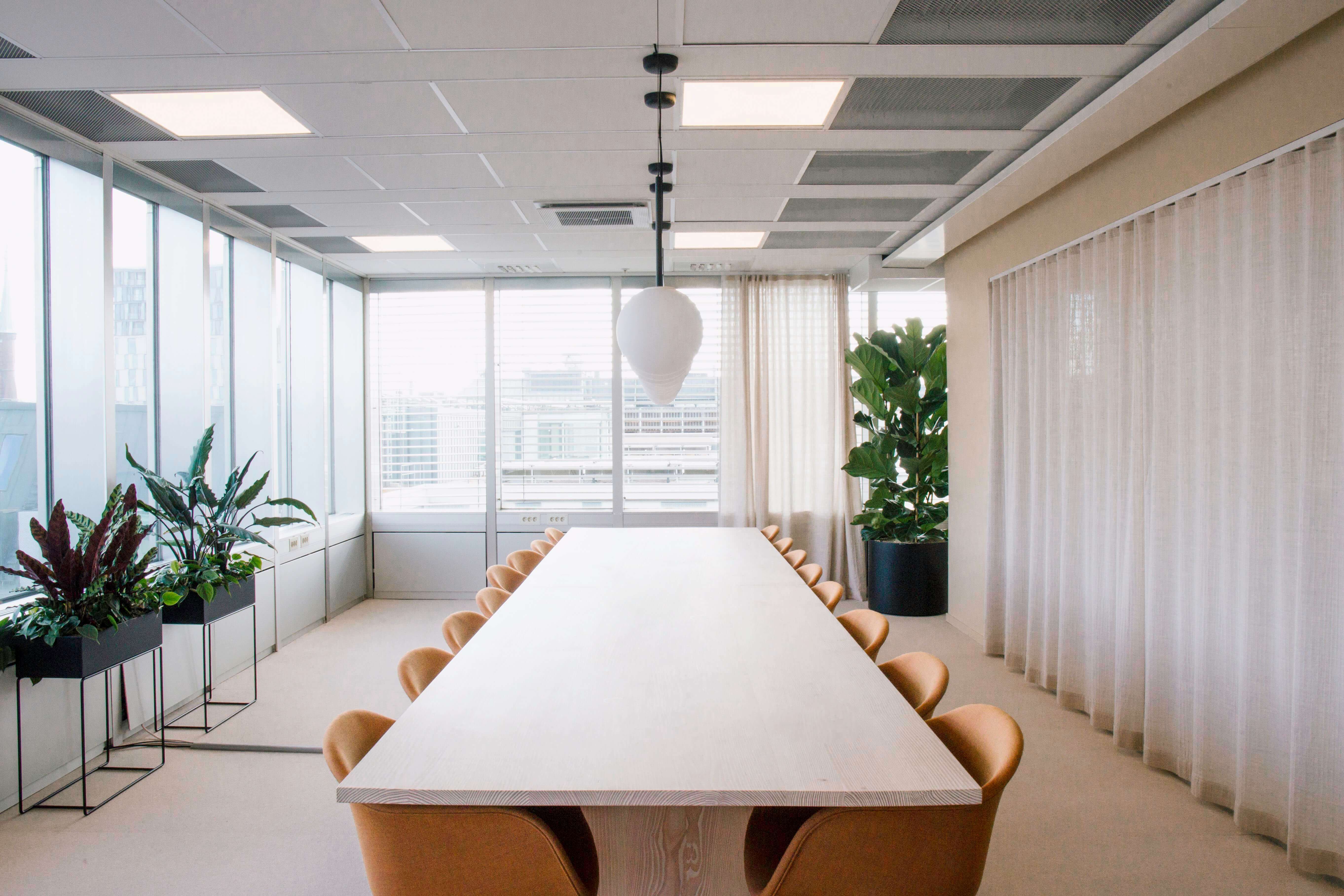 Board space with plants and large windows
