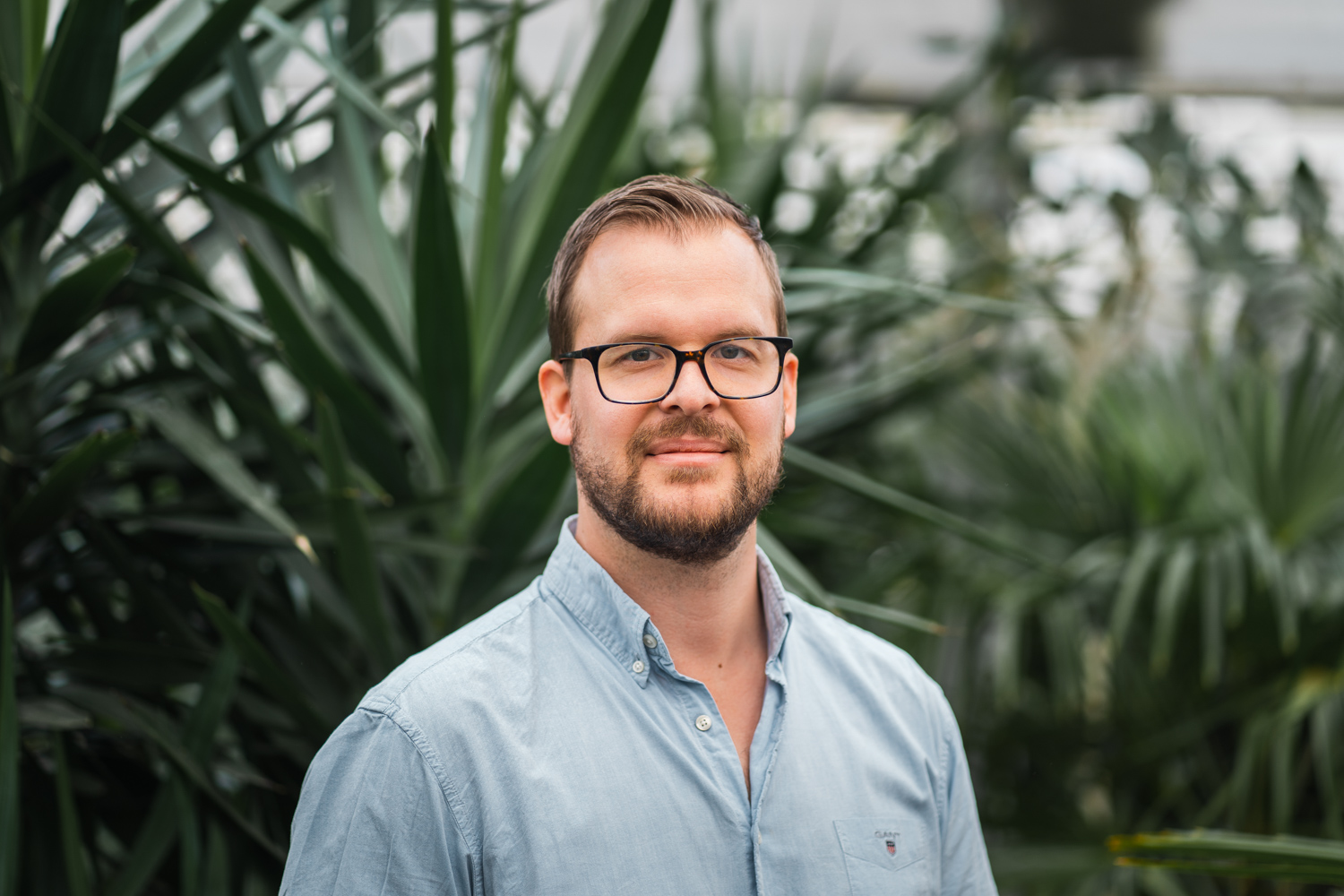 Markus Hargesson